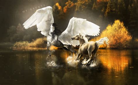 pegasus horses wings horse lake autumn reflection wallpaper