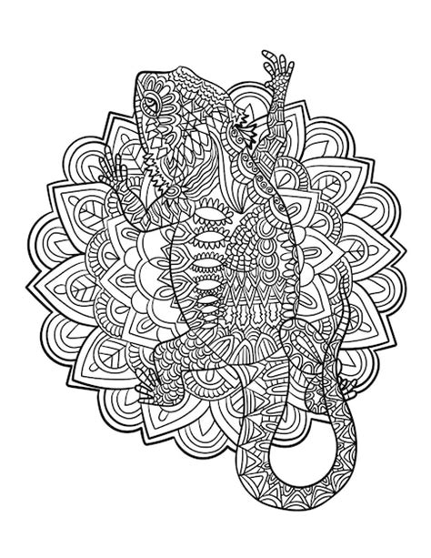 dragon mandala coloring pages