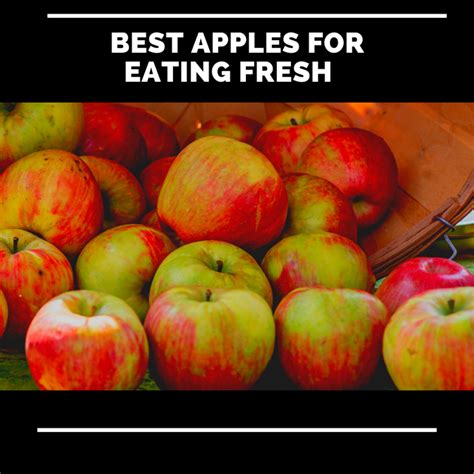apples  eating fresh delishably