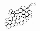 Grapes Coloring Wine Pages Coloringcrew Fruits sketch template