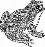 Frosch Mandala Ausmalen Malvorlage Doodle Ausdrucken Frog Ausmalbilder Ornate Illustrationen Einfach Malvorlagen Vorlagen Ausmalbild Auswählen sketch template