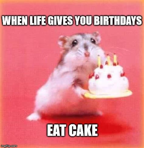 top  original  funny happy birthday memes happy  birthday