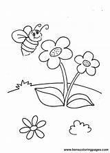 Bee Coloring Flower Pages Bees Color Drawing Colouring Busy Bumble Clipart Kids Cartoon Flowers Getdrawings Library Popular sketch template