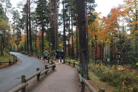 center parcs whinfell forest visit cumbria