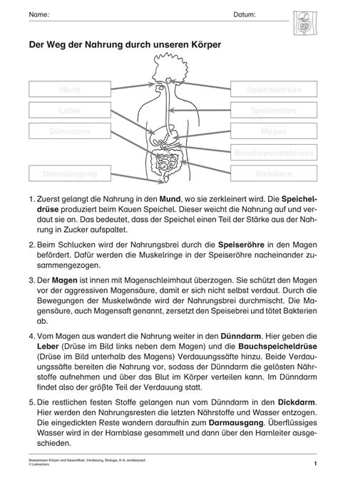 biologie arbeitsblaetter sonderpaedagogik lehrerbuero