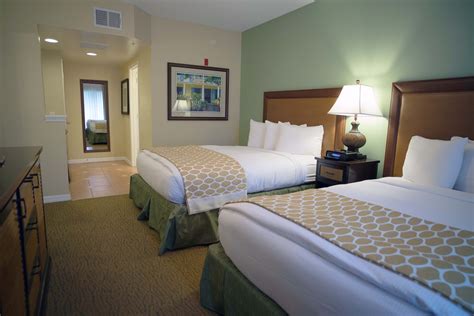 hilton grand vacations suites  seaworld suites sea world cool rooms
