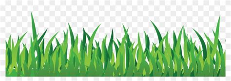 printable grass clipart grass png  transparent png clipart