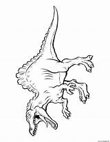 Coloring Fierce Predator Dinosaur Pages Printable sketch template
