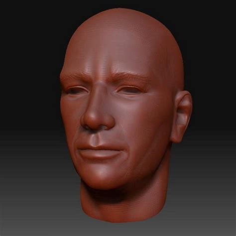 basic human male head character   model ztl opendmodel