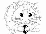 Hamster Coloring Pages Hamsters Print Printable Cute Kids Color Popular Library Clipart Getcolorings Coloringhome sketch template