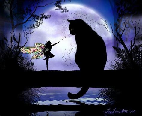 cat  fairy fairies pinterest