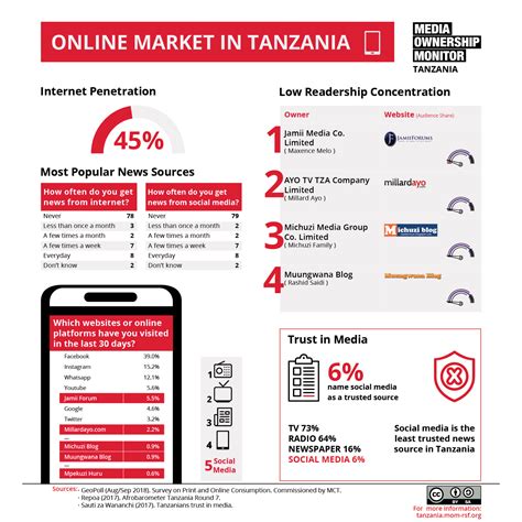 outlets  tanzania media ownership monitor