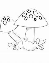 Mushrooms Muchomor Fliegenpilz Kolorowanka Grzyb Czerwony Ausmalbild Drukuj sketch template