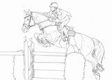 Jumping Horse Coloring Pages Show Showjumping Lineart Template sketch template