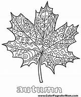 Herbst Mandala Erwachsene Ausmalbilder Mandalas Adults Listopad Liść Druku Darmo Jesienny Herbstblätter Kolorowanki Kleurplaten Gunsten Ausmalvorlagen Malen Chulas Vorlage Etkinlik sketch template