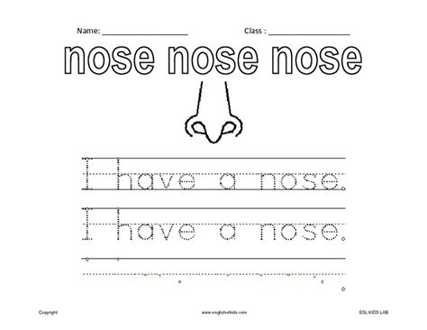 esl vocabulary practice nose worksheet  st  grade lesson planet