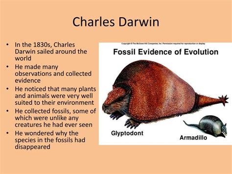 ch  darwins theory  evolution powerpoint  id