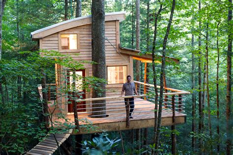 Tree House Designs To Live In House Facade Ideas