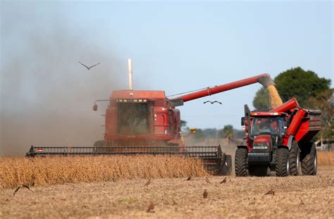 lluvias impulsan inicio de siembra de soja 20 21 de argentina bolsa