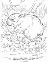Beaver Kidsfunplace sketch template