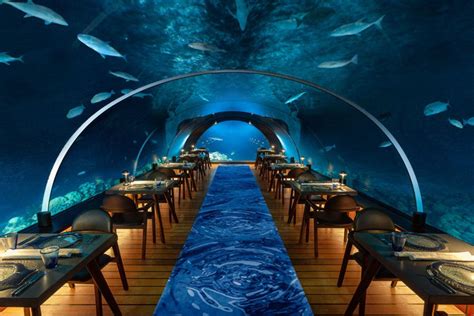 maldives  stunning underwater dining experiences  island logic