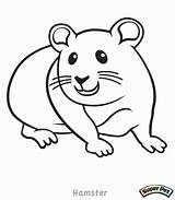 Hamster Coloring Pages Cute Glider Dwarf Drawing Sugar Realistic Color Printable Critter Getdrawings Colorings Simple Print Getcolorings Dog sketch template