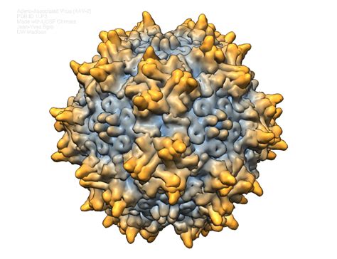 Adeno Associated Virus Pdb Id 1lp3 – Biochemistry Computational