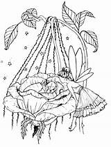 Coloring Pages Fairy Baby Forest Adult Babies Colouring Fantasy Enchanted Fairies Color Disney Animated Printable Gifs Gif Tale Kleurplaten Sheets sketch template
