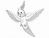 Cockatiel Coloring Flying Pages Animal Museprintables sketch template