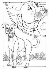 Hond Kleurplaat Hund Malvorlage Chien Schoolplaten sketch template