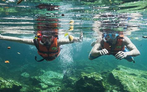 worlds  hotels   site snorkeling adventure resorts destination wedding resort resort