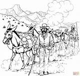 Coloring Caravan Pages Mule Niner Forty Donkeys Rush Gold California Printable Template Popular Main Color Drawing Skip sketch template