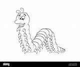 Millipede Outline Cartoon Centipede Isolated Character Clip Background Stock Illustrations Clipart Vector Vectors Alamy Dreamstime sketch template