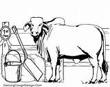 Ffa Livestock Steer sketch template