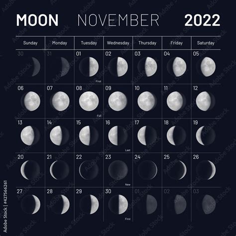 fotomural november lunar calendar   night sky backdrop month