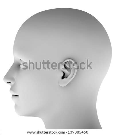 human head profile stock  images pictures shutterstock
