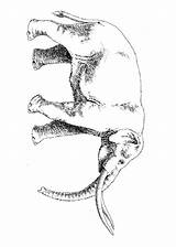 Ausmalbilder Dieren Ijstijd Tiere Eiszeit Olifant Amerikaanse Persoonlijke Maak Malvorlage sketch template