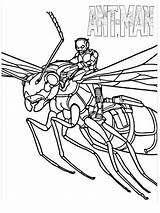 Ant Man Coloring Pages Printable Lego Antman Wasp Avengers Kids Marvel Toddler Realistic Choose Board Captain America Superhero Ants Template sketch template