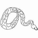 Python Drawing Colouring Snakes Drawings Coll Designlooter Getdrawings sketch template