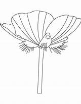 Buttercup Flower Coloring sketch template