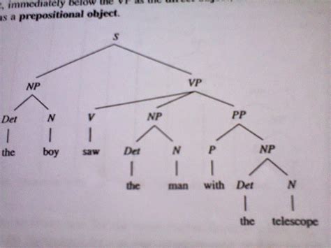 phrase structure trees