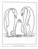 Coloring Penguin Pages Printable Family Penguins Animal Christmas Baby Popular Line Library Clipart Coloringhome Printables Comments sketch template