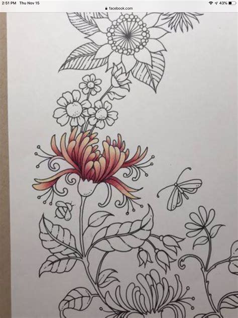 pin  adult coloringworld  flowers