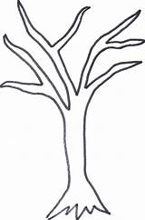 Tree Printable Template Leaves Coloring Comments Leave sketch template