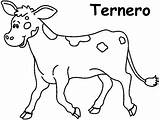 Ternero Ternera Pretende Bw sketch template