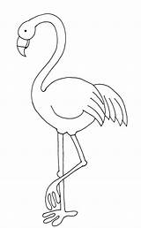 Flamingo Flamigo Digi Printables Dearie Applique Flamenco Malvorlagen Flamencos Riscos Feltro sketch template