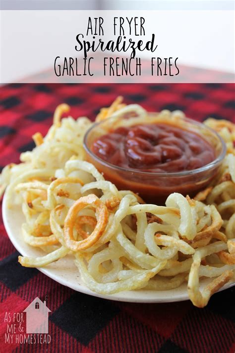 air fryer garlic french fries       homestead