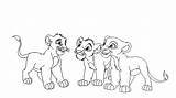 Lion Cubs Cub Coloring Baase Getdrawings sketch template