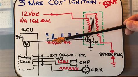 ford  wire distributor wiring diagram diagraminfo
