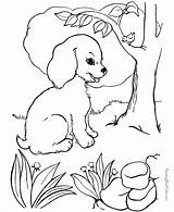 Dog Color Pages Coloring Sheet Printing Help sketch template